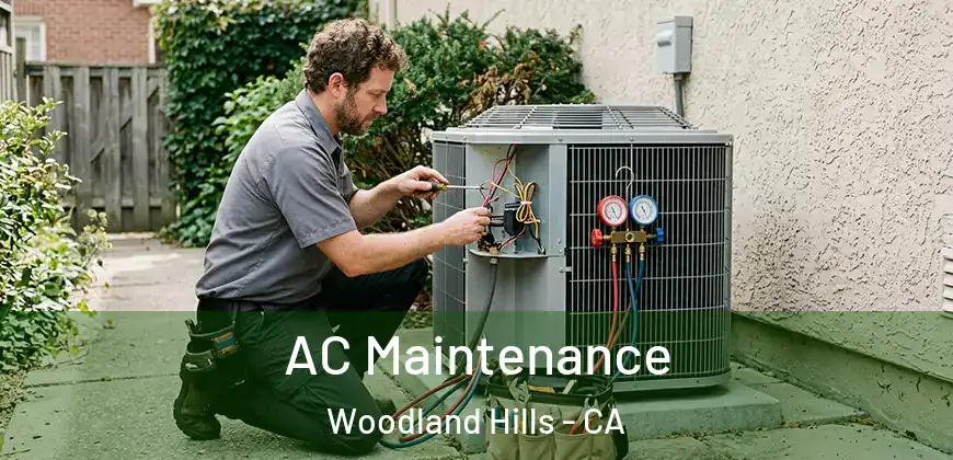 AC Maintenance Woodland Hills - CA