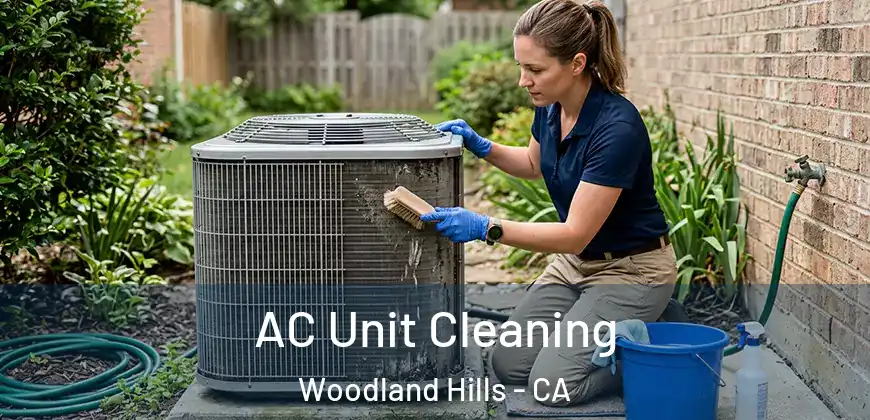 AC Unit Cleaning Woodland Hills - CA