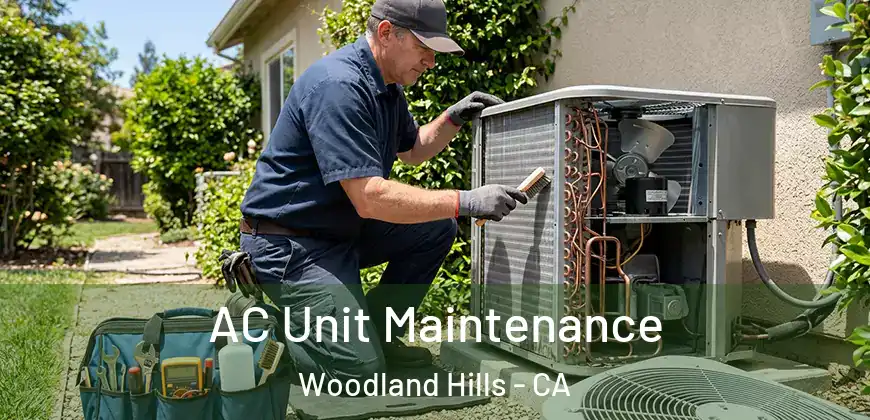 AC Unit Maintenance Woodland Hills - CA